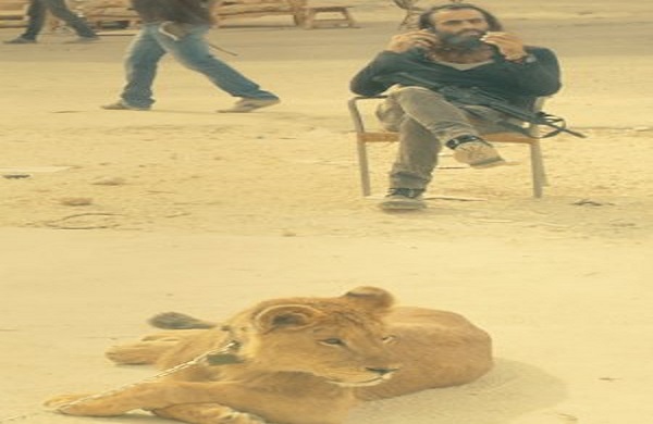 degrade_film_still_p_15