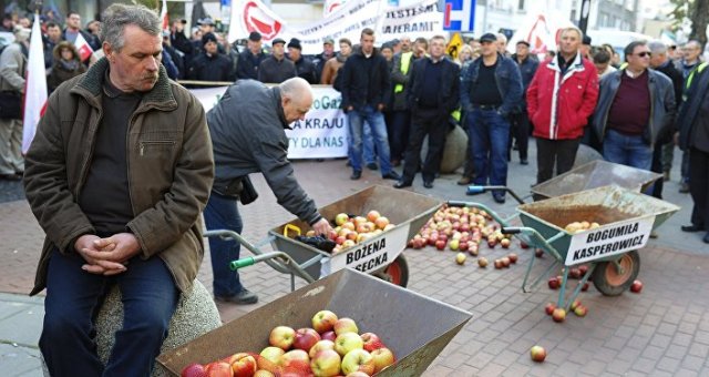 Polish farmers and horticulturists protest in Warsaw